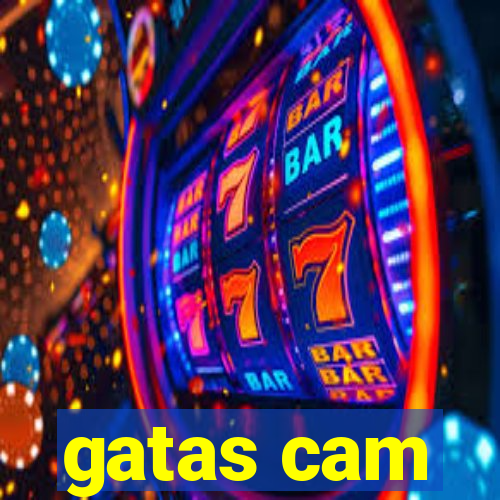 gatas cam